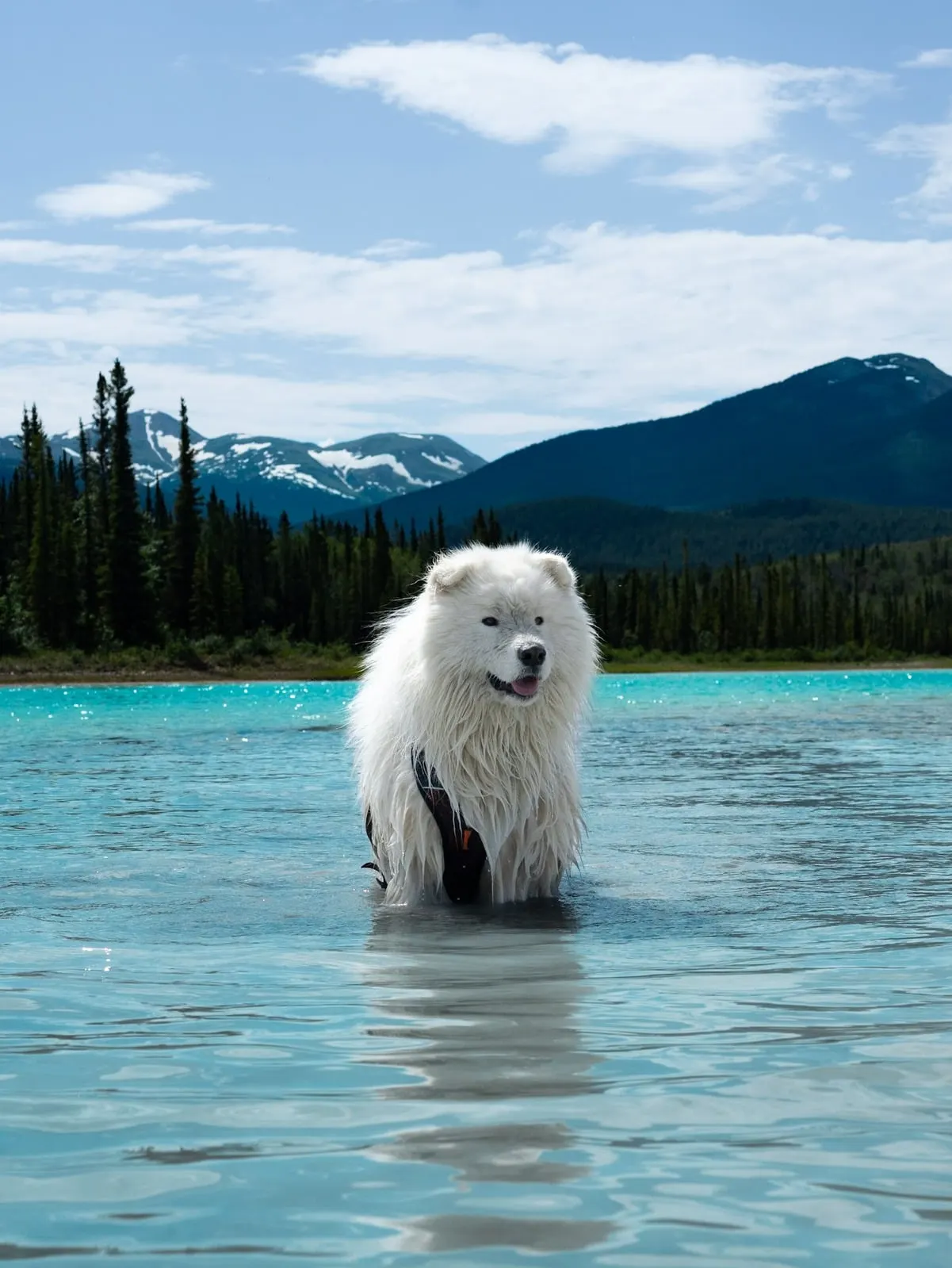 Saiko standing in a turquoise mountain lake