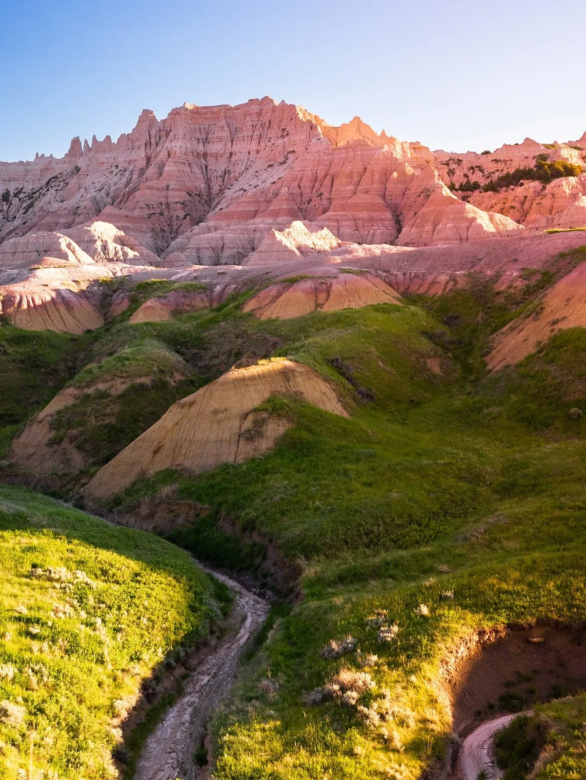 Pink badlands at golden hour